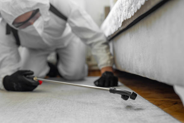 Professional Bed Bug Control technician working in Madison County County, FL
